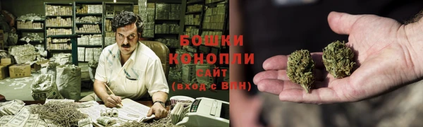 индика Дмитриев