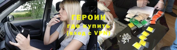 индика Дмитриев