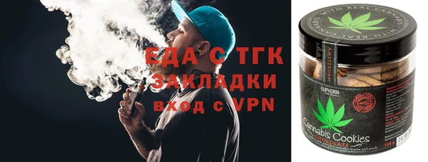 индика Дмитриев