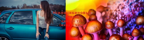 индика Дмитриев