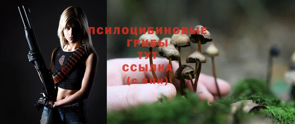 хмурый Гусь-Хрустальный