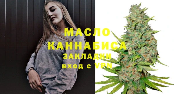 хмурый Гусь-Хрустальный