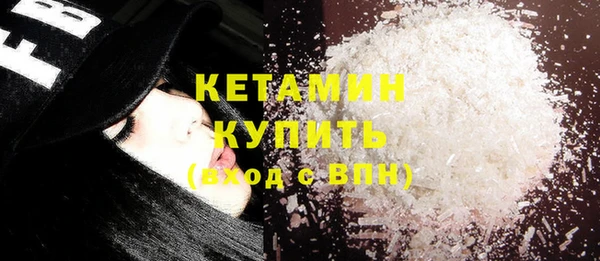 индика Дмитриев