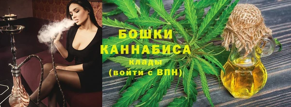 хмурый Гусь-Хрустальный