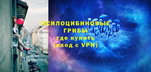 хмурый Гусь-Хрустальный