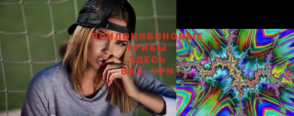 индика Дмитриев
