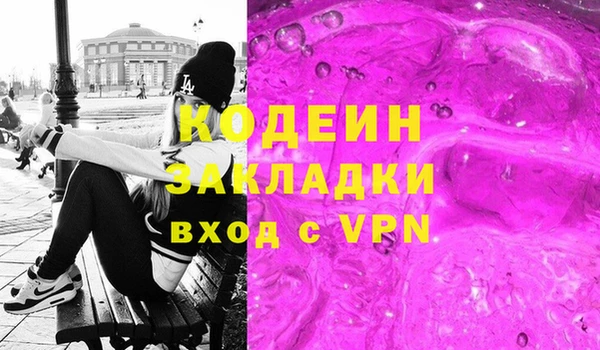 индика Дмитриев