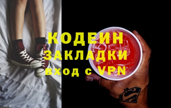 шишки Корсаков