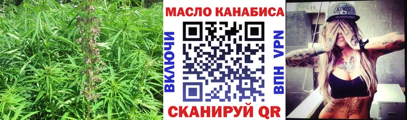 дарнет шоп  Жердевка  ТГК THC oil 