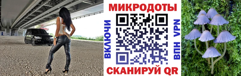цены наркотик  Жердевка  Галлюциногенные грибы Psilocybe 